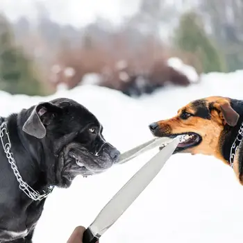 Аксесоари за домашни любимци Износоустойчивост, за да проверите за дресура на кучета Лека Професионален нож за дресура на кучета