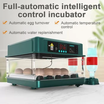 Инкубатор за 15 Яйца, Напълно Автоматичен Струг Инкубационният една квачка, селското стопанство Птица, Пъдпъдъци, Пиле, Инкубатор за отглеждане Фабрика, Струг Инкубационният Инструмент